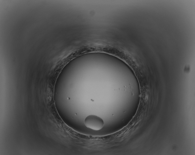 X0000093501253200710191242