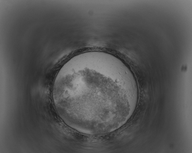 X0000093501254200710191242