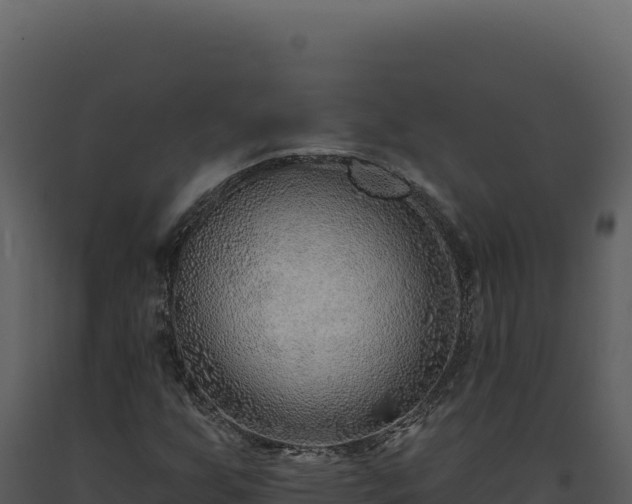 X0000093501255200710191242