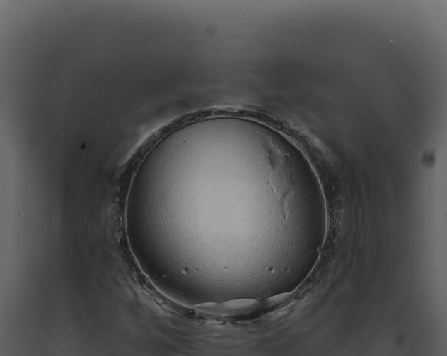 X0000093501256200710191241