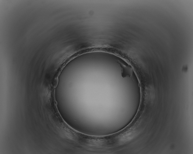 X0000093501257200710191241
