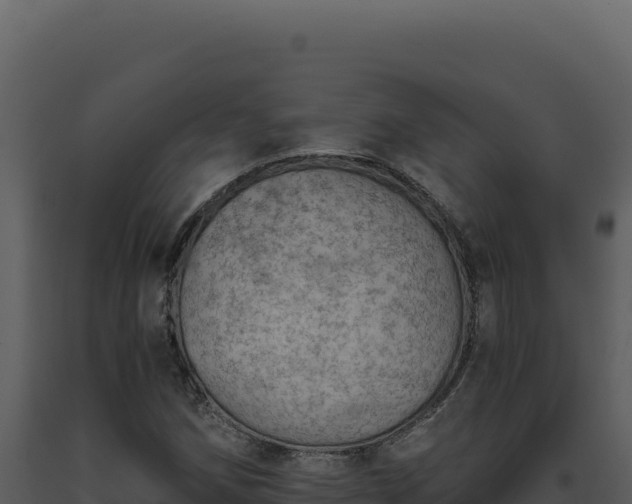 X0000093501258200710191241