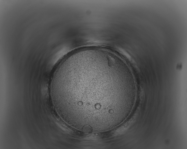 X0000093501259200710191241
