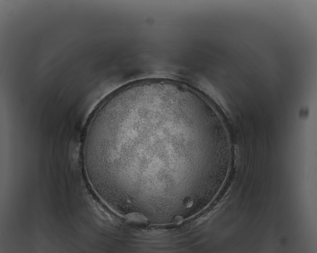 X0000093501260200710191241