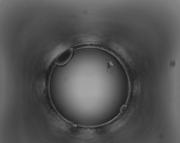 X0000093501261200710191241