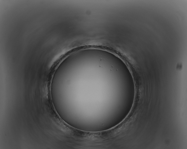X0000093501262200710191241