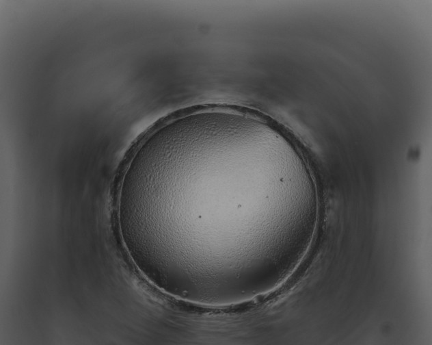 X0000093501264200710191241