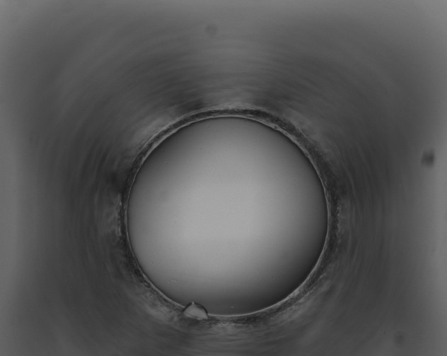 X0000093501265200710191241