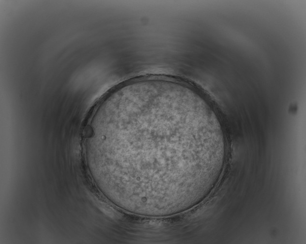 X0000093501266200710191241