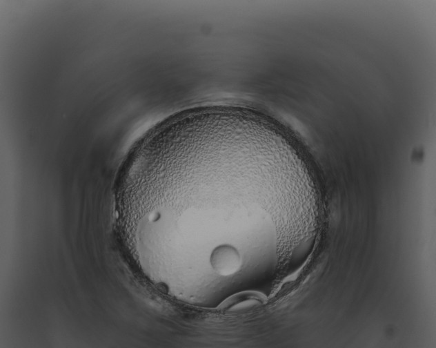 X0000093501267200710191241