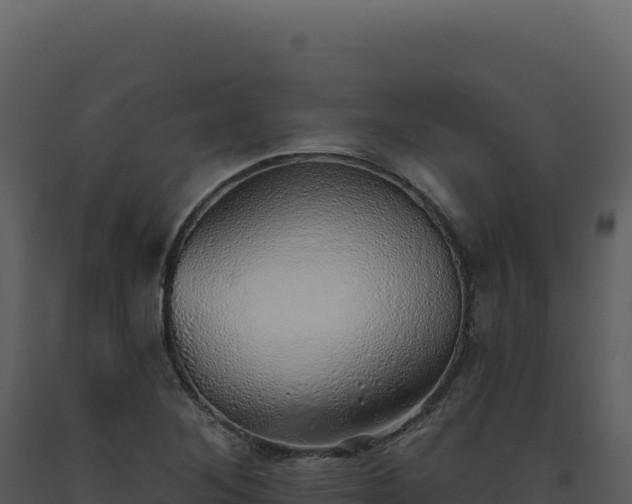 X0000093501268200710191241