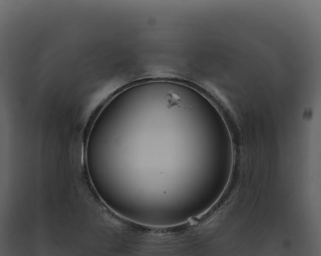 X0000093501269200710191241