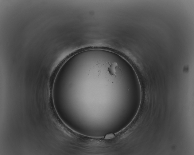 X0000093501270200710191241