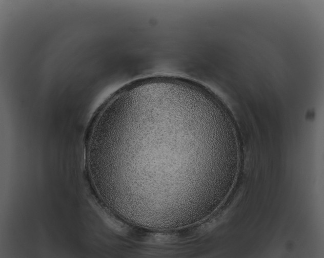 X0000093501271200710191241