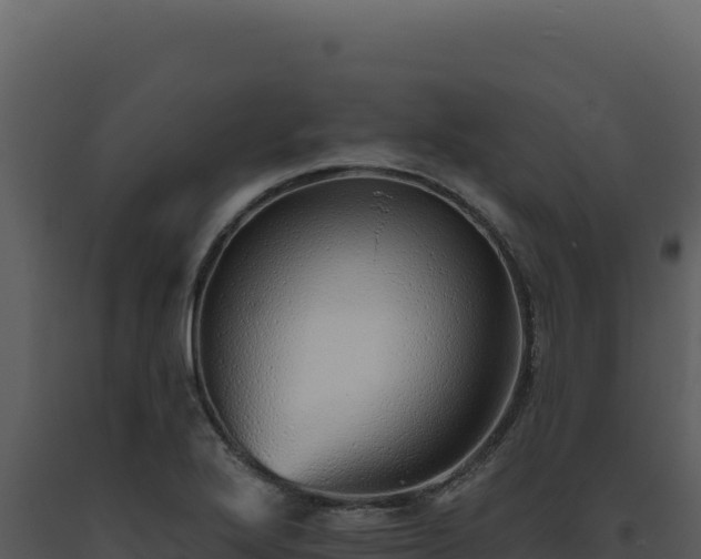 X0000093501272200710191241