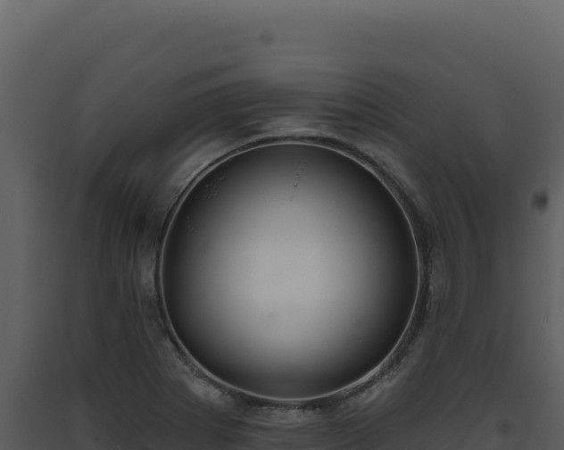 X0000093501273200710191241