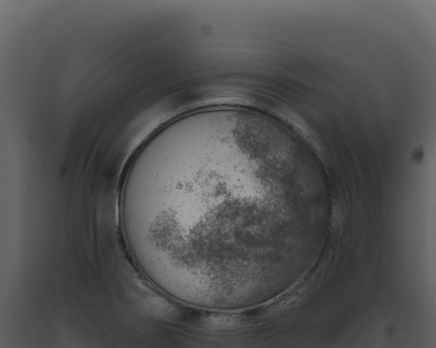 X0000093501274200710191241