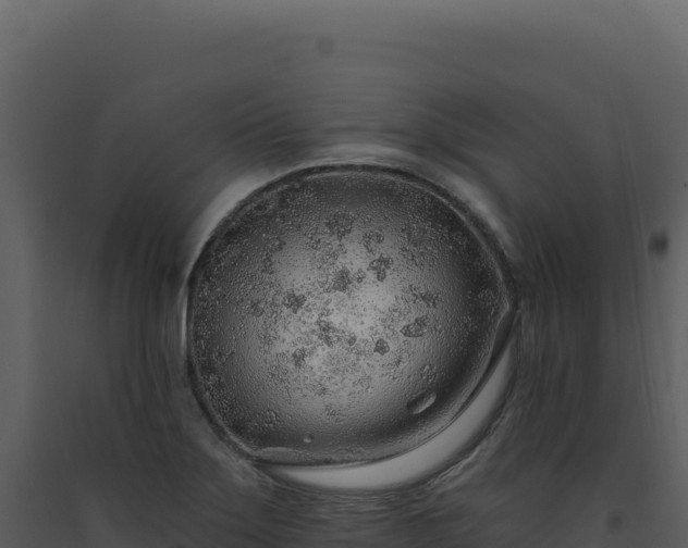 X0000093501275200710191241