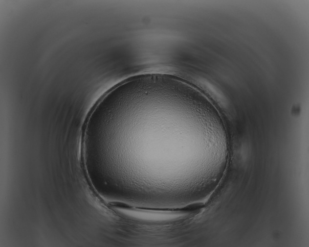 X0000093501276200710191241