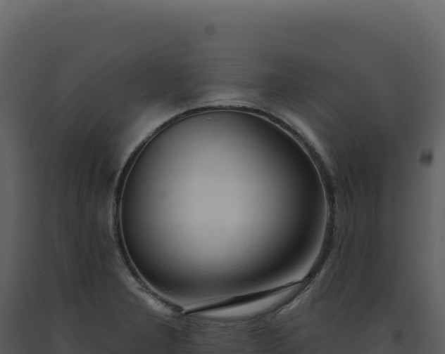 X0000093501277200710191241
