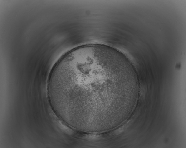 X0000093501278200710191241