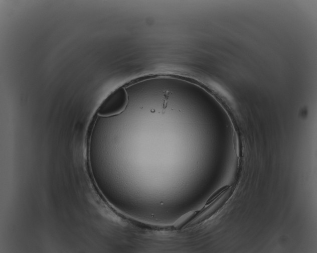 X0000093501280200710191241