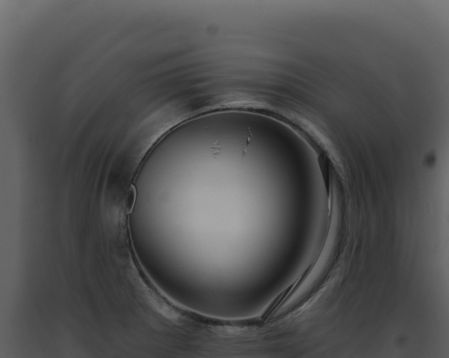 X0000093501281200710191241