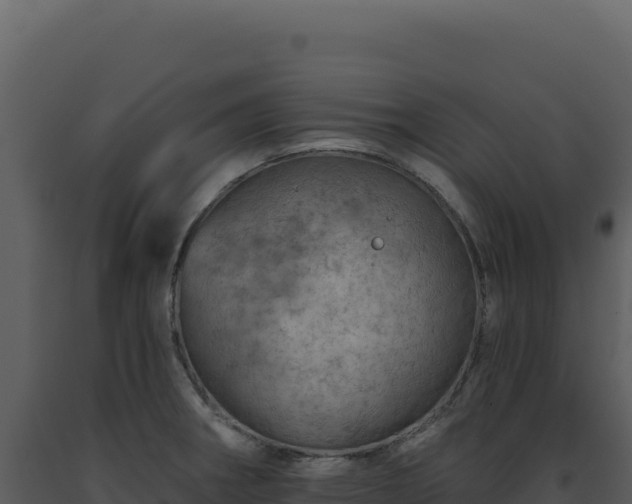 X0000093501282200710191241