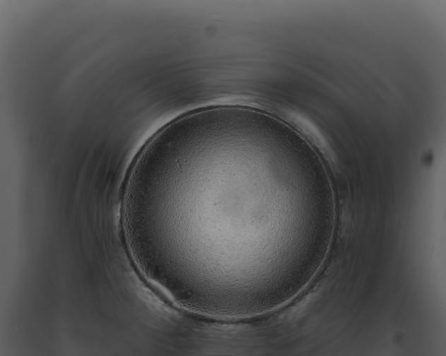X0000093501284200710191241