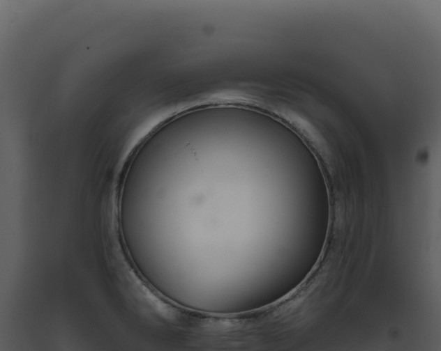 X0000093501286200710191241