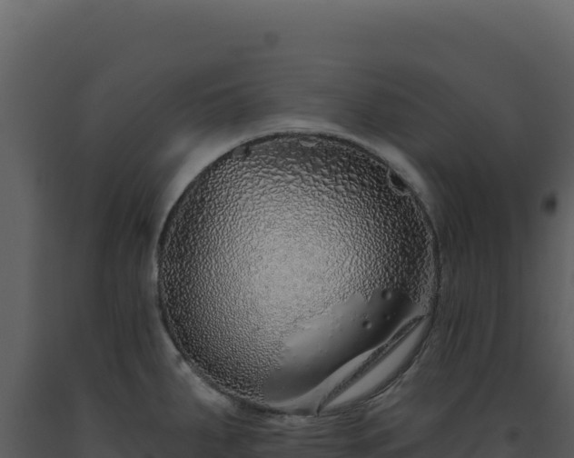 X0000093501287200710191241