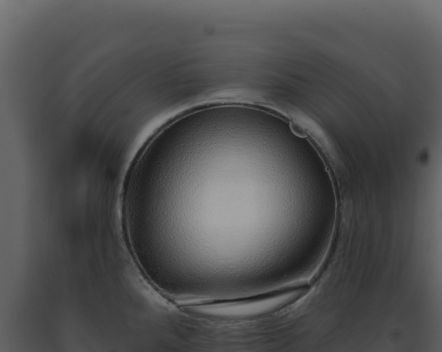 X0000093501288200710191241