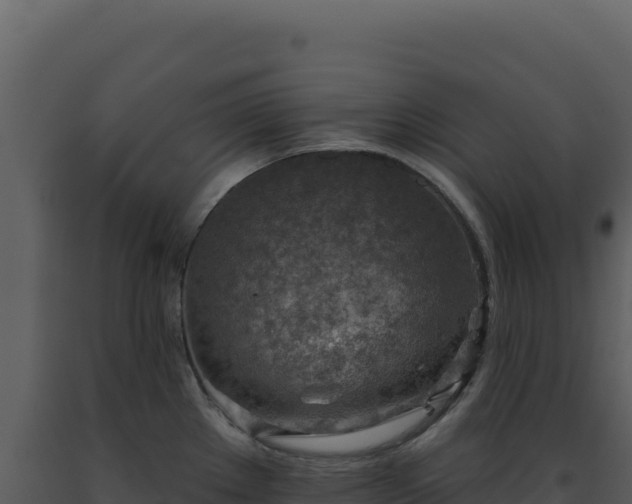 X0000093501289200710191241