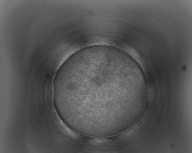 X0000093501290200710191241