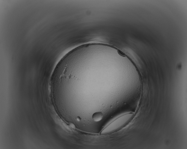 X0000093501292200710191241
