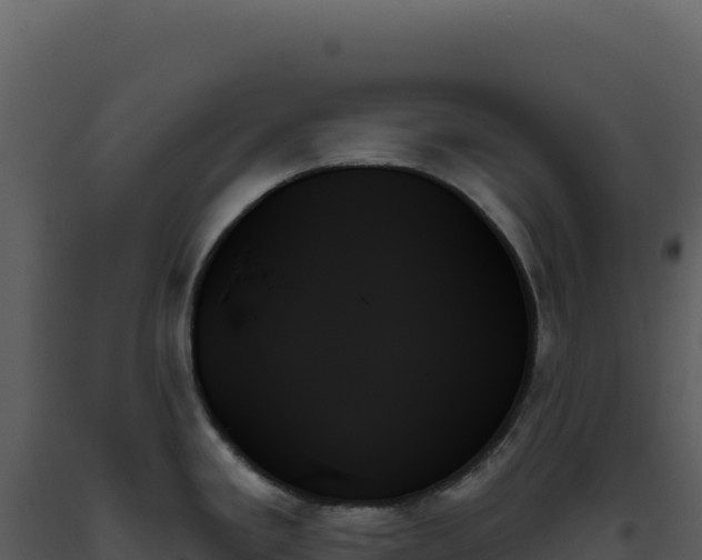 X0000093501293200710191241
