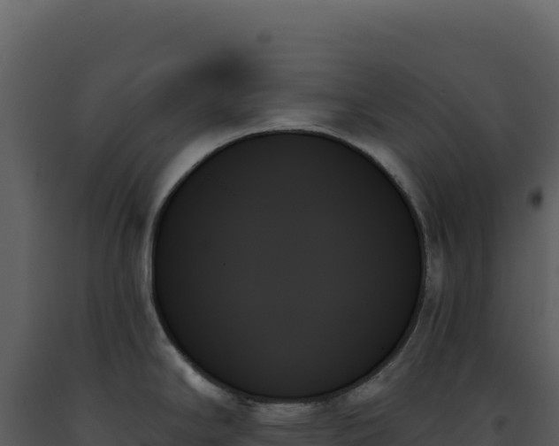 X0000093501294200710191241