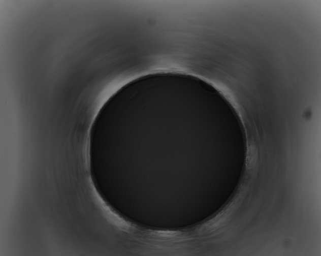 X0000093501295200710191241