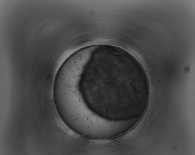 X0000093501296200710191241