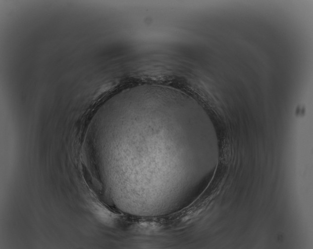 X0000093501297200710191240