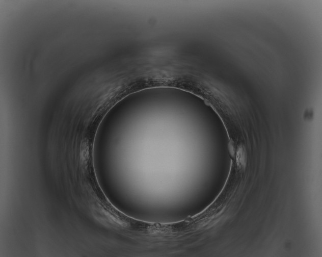 X0000093501299200710191240