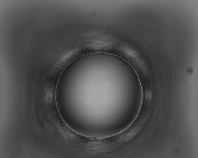 X0000093501300200710191240