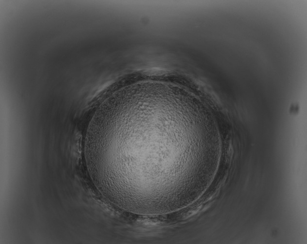 X0000093501301200710191240