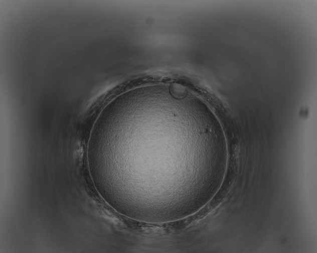 X0000093501302200710191240