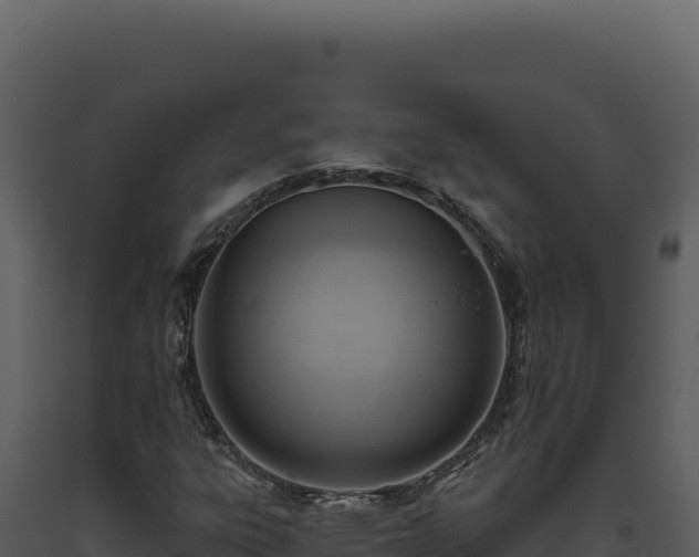 X0000093501303200710191240