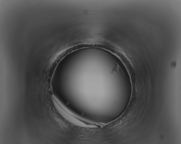 X0000093501304200710191240