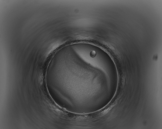 X0000093501306200710191240