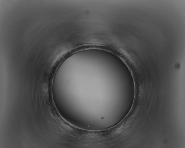 X0000093501307200710191240