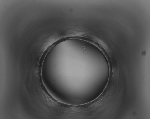 X0000093501308200710191240