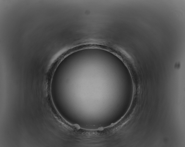 X0000093501310200710191240